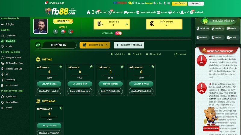 Tiến hành chuyển tiền từ các tài khoản phụ sang ví chính